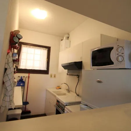 Appartement Lo Scoiattolo By Interhome *